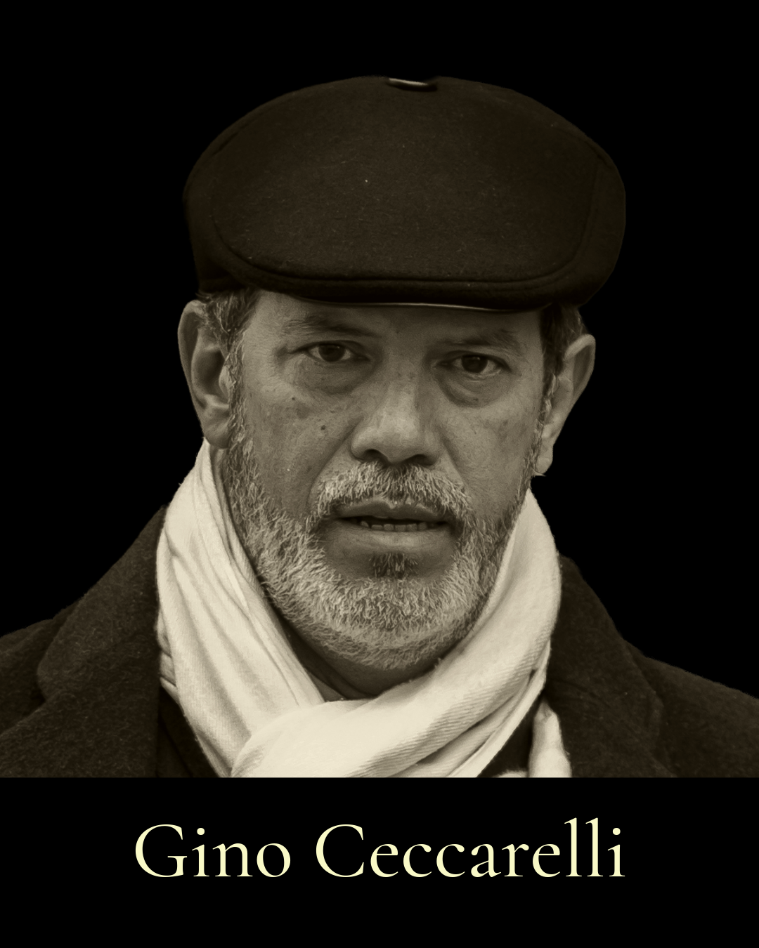 Gino Print Module N2X